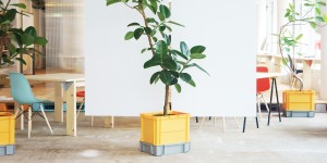Planter01