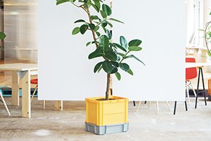 Planter Thumbnail